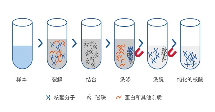 病毒核酸提取磁性微球（SiO2/Fe3O4）