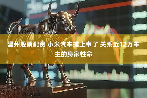 温州股票配资 小米汽车摊上事了 关系近12万车主的身家性命